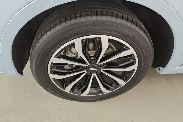 Used Wey Mocha 2021 2.0T Two-Wheel-Drive Premium Edition
