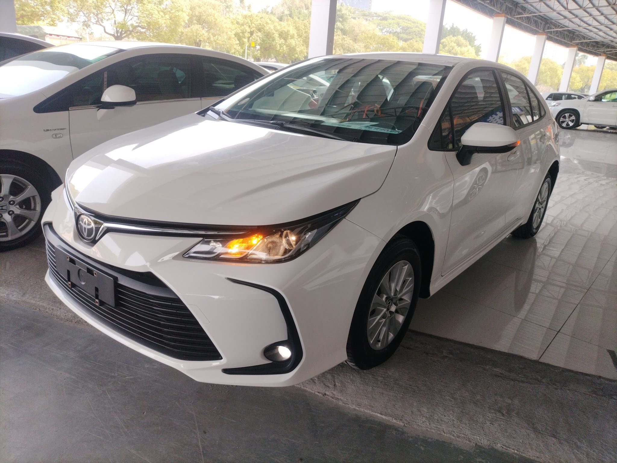 تحت مقدمة السيارة