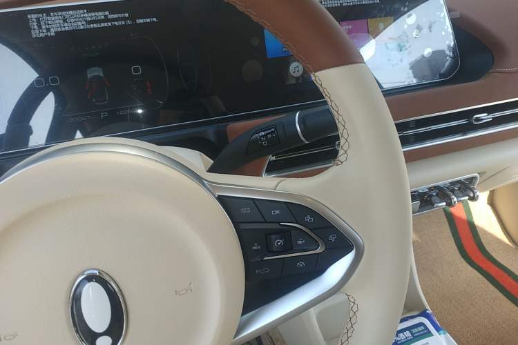 Used ORA Good Cat 2023 401 km Standard Range Luxury Version Lithium Iron Phosphate