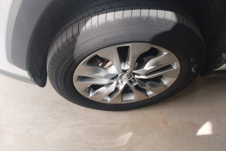 Used Toyota Wildlander 2020 2.0L CVT 4x4 Luxury Edition
