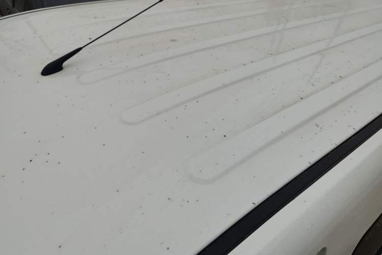 Used Wuling Yangguang 2025 Model 310KM Bus Edition—Customized by CATL