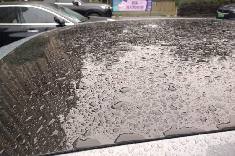 Used Polestar 2 2020 First Edition
