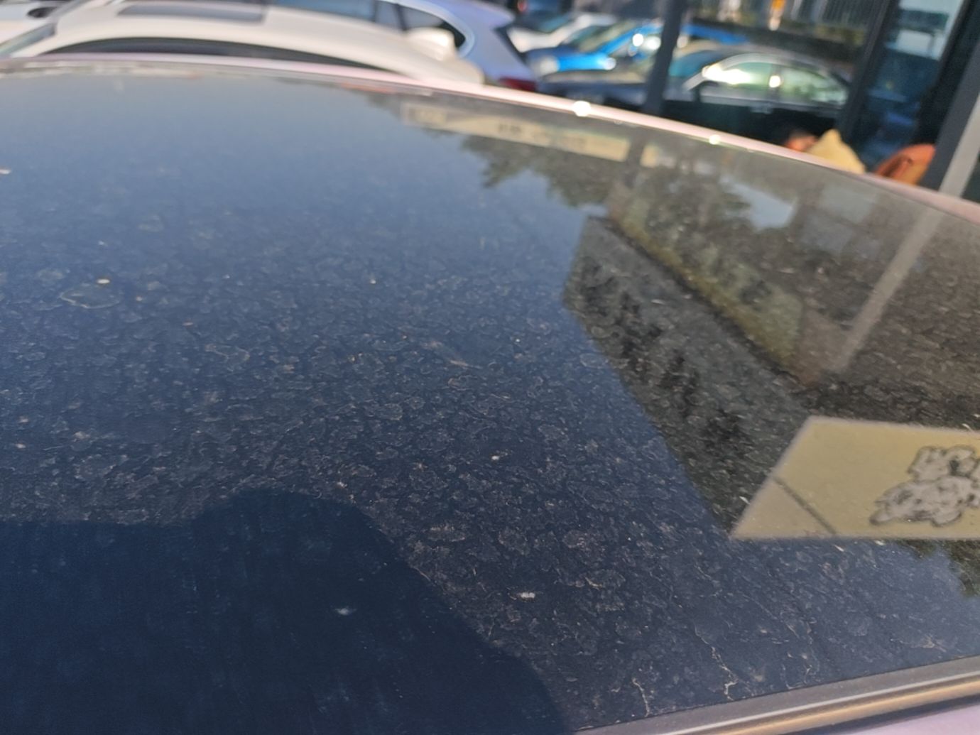 BYD Dolphin 2024 Honor Edition 420km Fashion Version — снимка 7