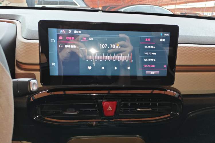 Used SOL E10X 2022 Flower Fairy Design Four-Leaf Clover Audio And AC Panel