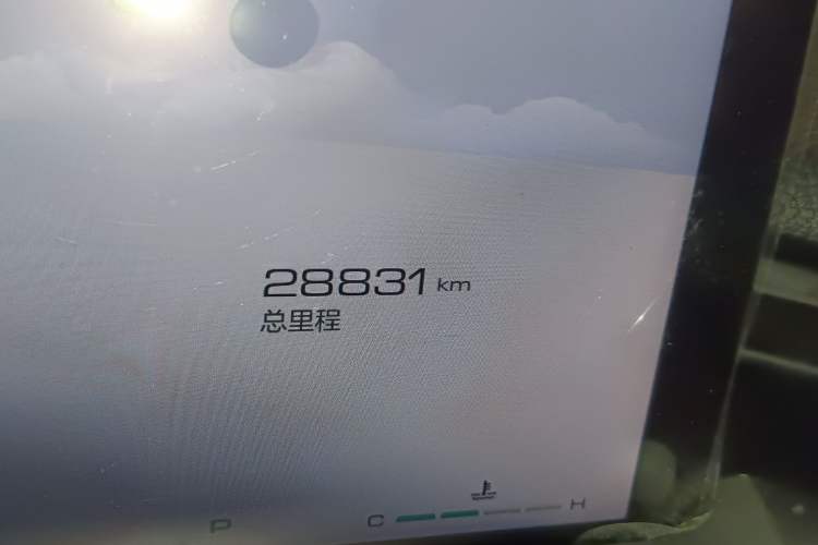 Used Haval H6 2024 2.0T Two-Wheel Drive Max