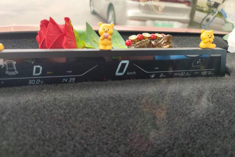 Used NETA V 2021 Witch Edition