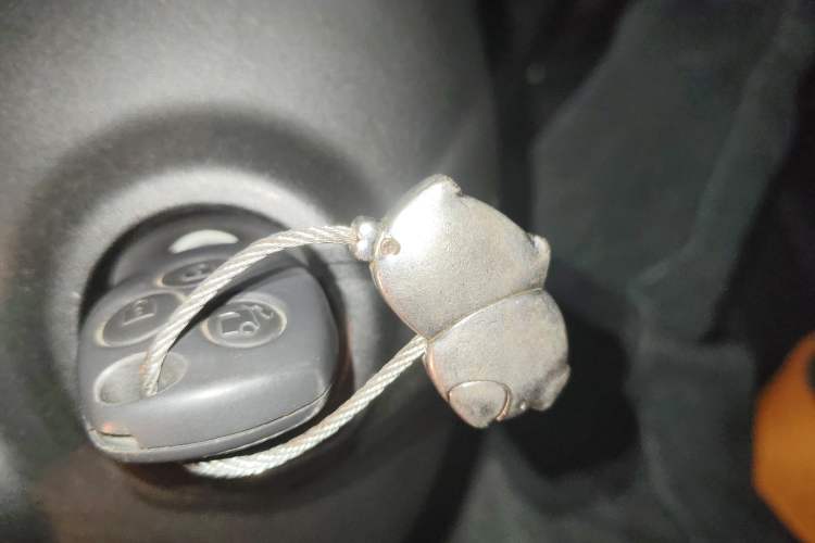 Used smart fortwo 2019 0.9T 66kW Hardtop Wind Power Edition China VI Vehicle Key