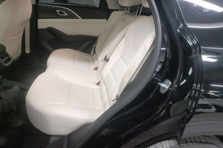 Used Haval Fierce Dragon Max 2023 1.5L Hi4 105 Four-Wheel Drive Navigation Edition Left Rear Seat