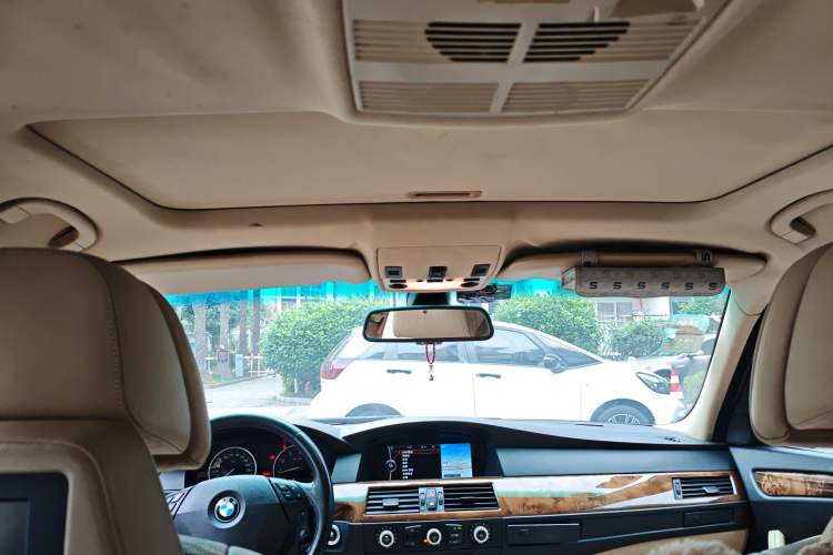 Used BMW 5 Series 2010 530Li Luxury Model Headliner