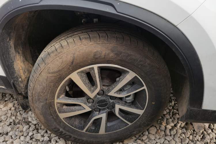 Used FORTHING T5 2024 Grand Edition 1.6L Manual Dream-Chasing Version 5 Seats
