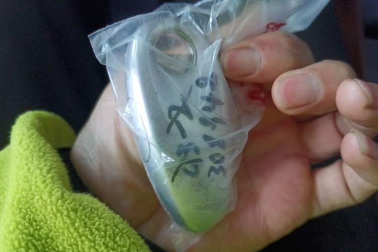 Used VOYAH FREE 2024 Ultra-Long Range Intelligent Driving Version
