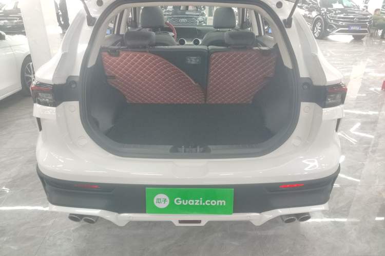 Used FORTHING T5 EVO 2024 Kungbiao Edition 1.5TD DCT Platinum Model
