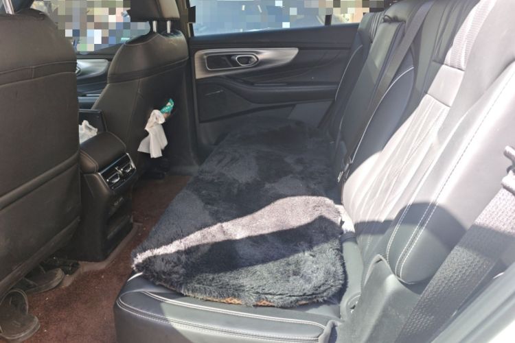 Used GAC Trumpchi GS8 2025 Linghang Series 2.0 TGDI Two-Wheel-Drive Luxury Edition 5 Seats Left Rear Seat