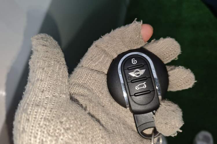 Used ORA Black Cat 2019 351 km Family Edition