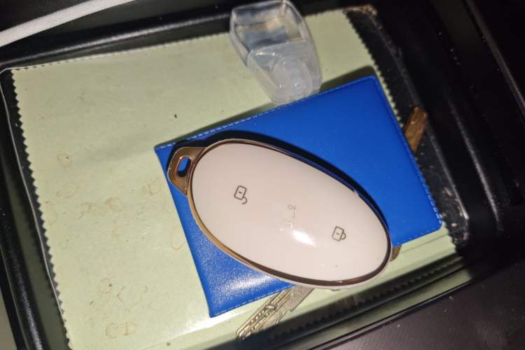 Used Rising F7 2023 Long-Range Edition Vehicle Key