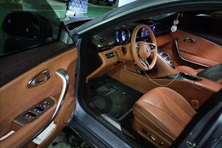 Used ORA Lightning Cat 2022 555 km Luxury Edition