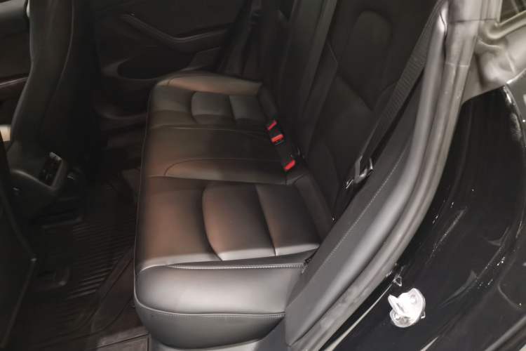 Used Tesla Model 3 2022 Rear-Wheel-Drive Version Left Rear Seat