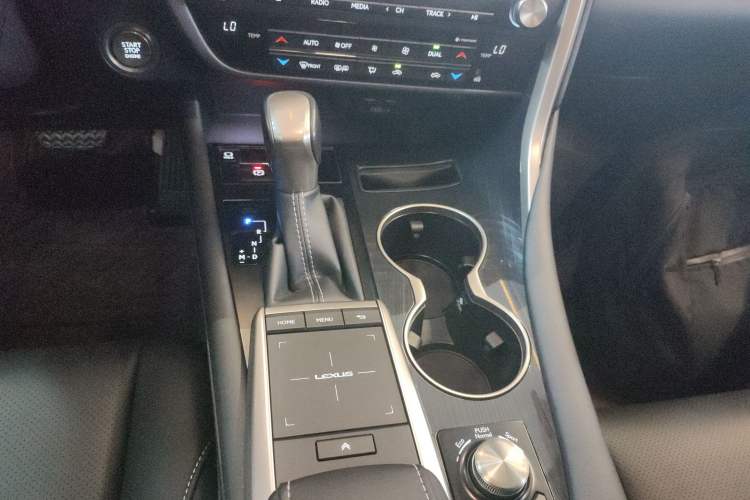 Used Lexus RX 2020 Revised Version 300 Two-Wheel Drive Elite Edition