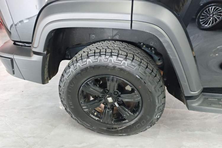 Used Tank 300 2024 2.0T Conqueror
