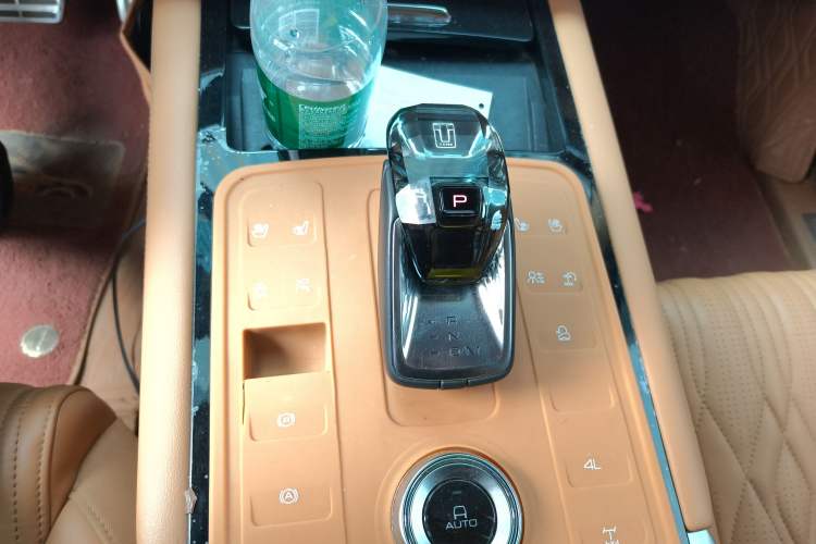 Used Tank 500 New Energy 2023 Hi4-T Gear Lever