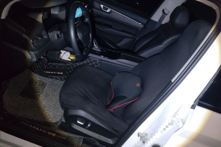 Used Wuling Victory 2022 Revised Version 280T 1.5T CVT Flagship Edition Left Front Seat