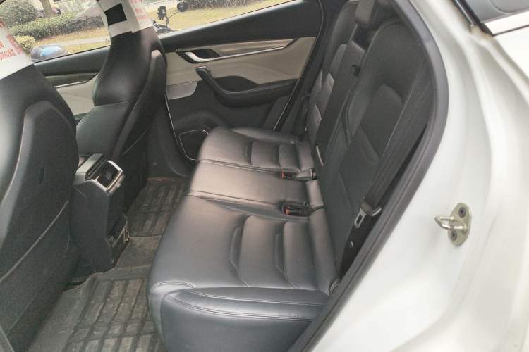 Used WM Motor EX5 2019 EX5 Mate Weymeng Edition 400