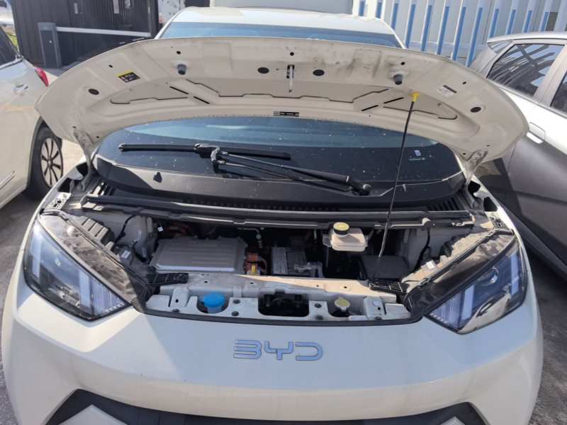 Used BYD Seagull 2025 305km Active Version — 19