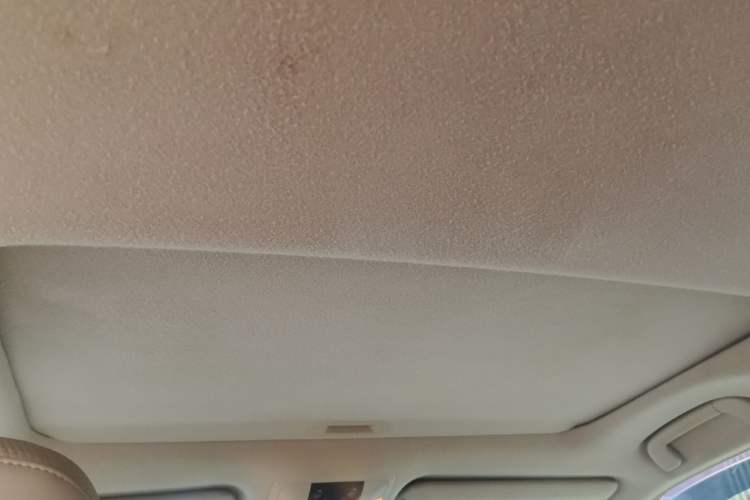 Used Toyota Prado 2010 4.0L Automatic TX-L Headliner