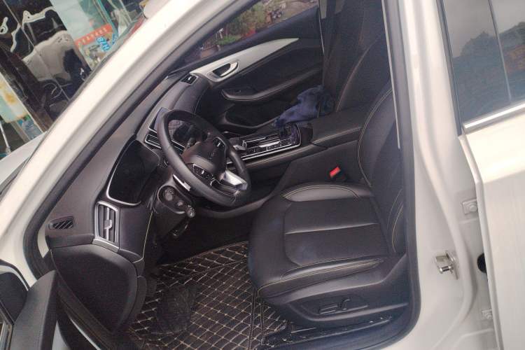 Used Roewe i6 MAX 2020 300TGI Automatic "Swell Cool Smart Drive" Edition Left Front Seat