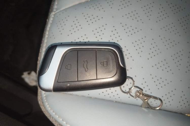 Used Chery Little Ant 2024 Revised Version Youth Edition 251 km True Love Edition 25.05 kWh
