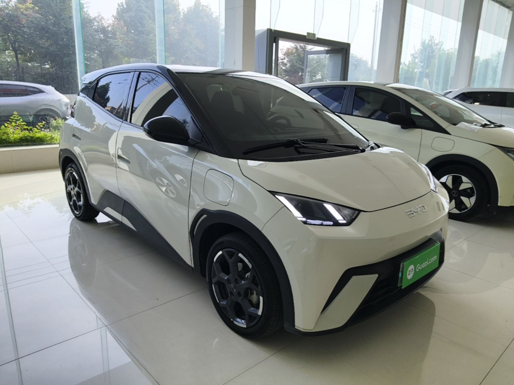 BYD Seagull 2024 Honor Edition 405km Flying Version — снимка 3