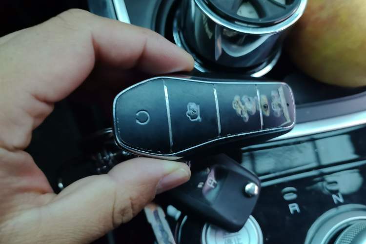 Used BYD Qin PLUS 2023 EV 510KM Travel Edition