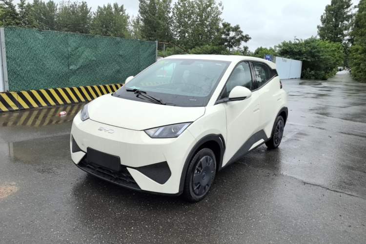 Used BYD Seagull 2025 Intelligent Driving Version 305 km Dynamic Edition Guazi used car, China used car export, Used car for sale, Used  cars, Cheapest cars for sale