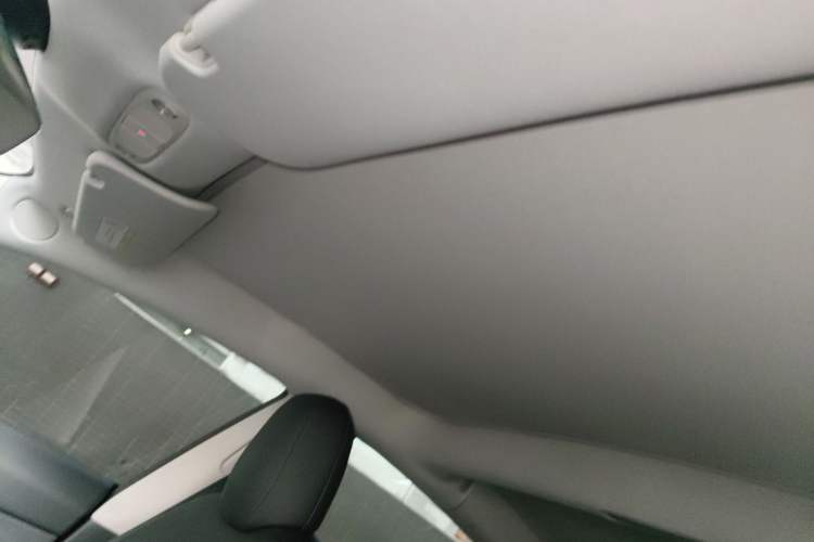 Used Tesla Model 3 2021 Standard Range Rear-Wheel Drive Upgraded Version 3D6 Headliner