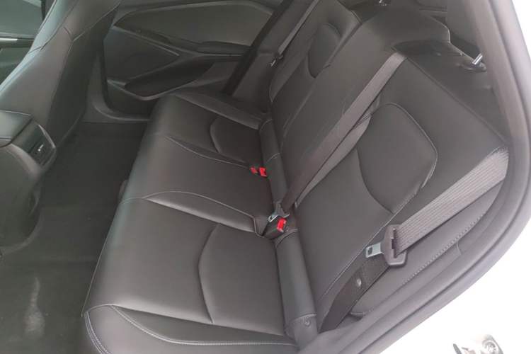 Used Chevrolet Menlo 2022 Star Enjoyment Edition Plus Left Rear Seat