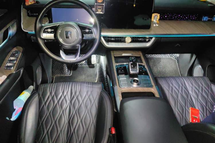 Used Tank 500 New Energy 2024 Hi4-T Center Console