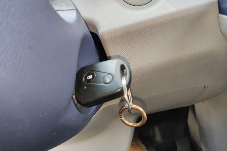 Used SRM New Energy E3L 2024 Standard Model
