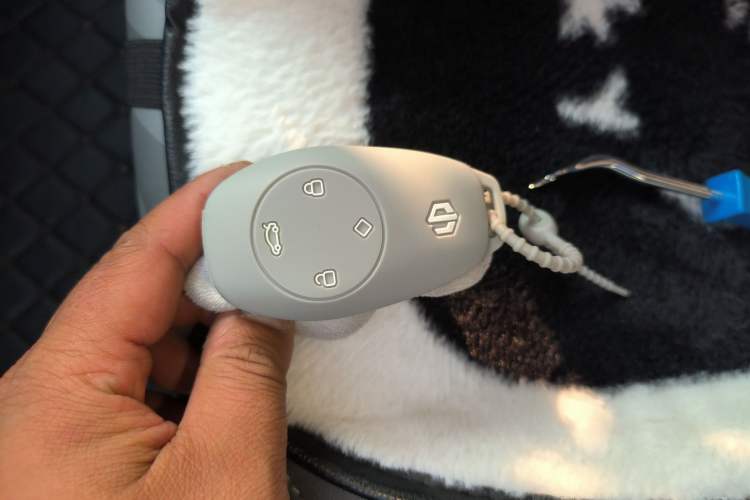 Used Leapmotor T03 2024 310 Comfort Edition
