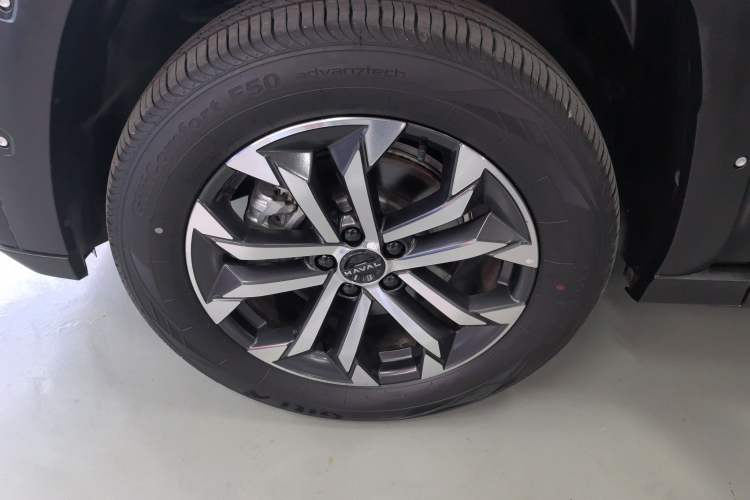Used Haval H Dog 2023 2.0T All-Wheel-Drive Chaoye Plus