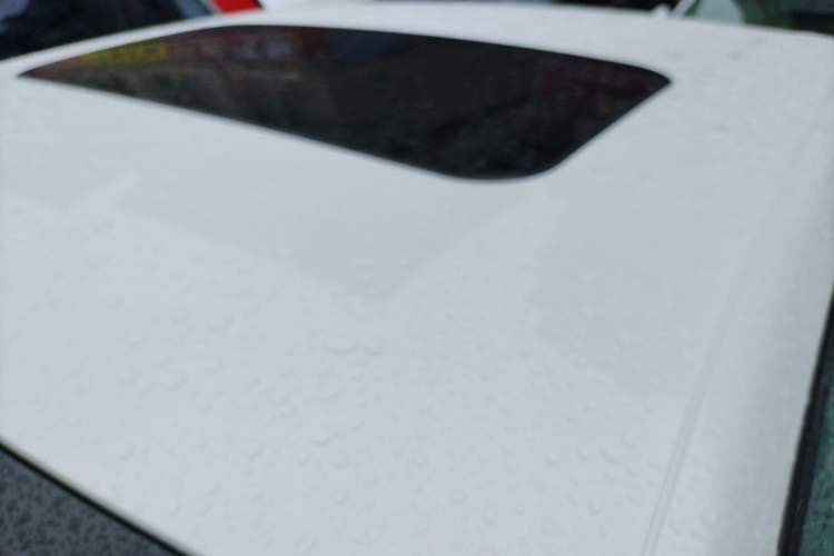 Used Peugeot 408 2019 350THP Automatic Luxury Edition China V Standard