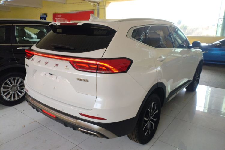 Used Haval H6 2023 National Trend Edition 1.5T Automatic Urban Version
