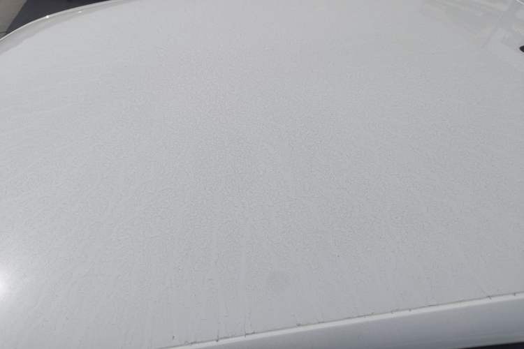 Used Volkswagen Polo 2018 1.5L Automatic Advanced Driving Model Roof