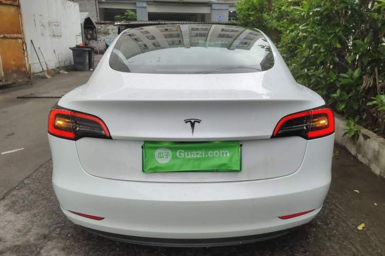 Used Tesla Model 3 2019 Long-Range All-Wheel-Drive Version Rear