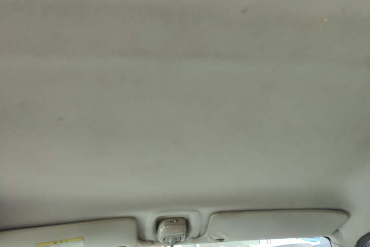 Used Suzuki Wagon R X5 2013 Revised Version 1.4L VVT Cruise Edition Headliner