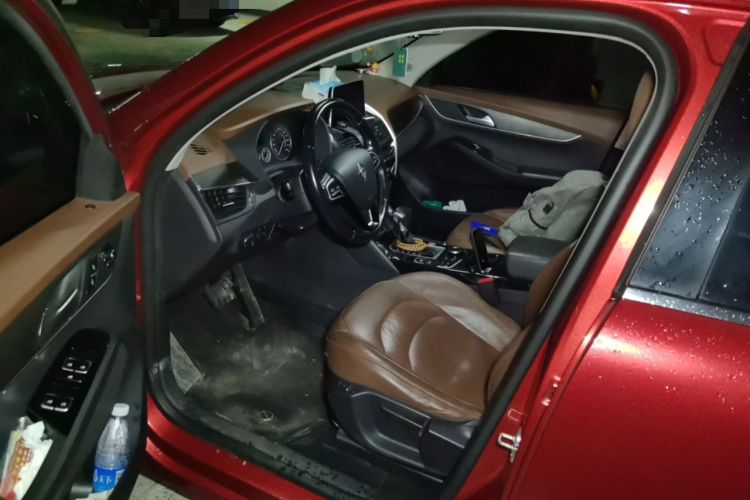 Used BORGWARD BX5 2017 25TGDI Automatic Two-Wheel Drive Sharp Model
