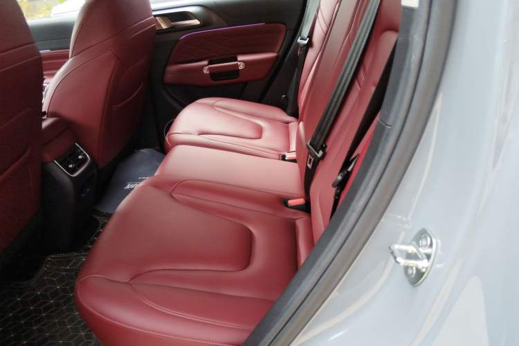 Used Tank 300 2025 2.4T Diesel Version Left Rear Seat