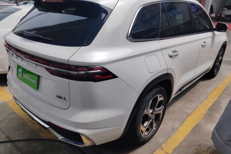 Used Geely Auto Monjaro L 2021 2.0TD DCT EVO Two-Wheel Drive Prestige Version