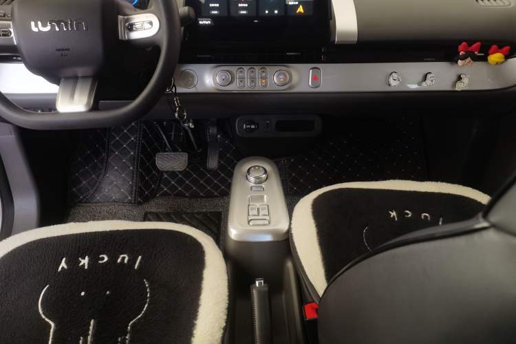 Used Qiyuan Lumin 2023 205km Xiangqin Version
