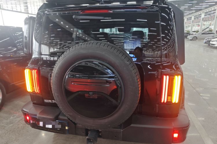 Used Tank 300 2024 2.0T Crosser