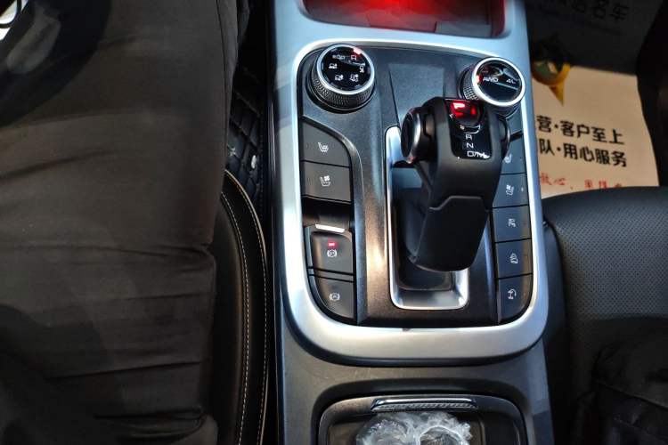 Used Tank 300 2021 City Edition 2.0T—Truly Stylish Gear Lever